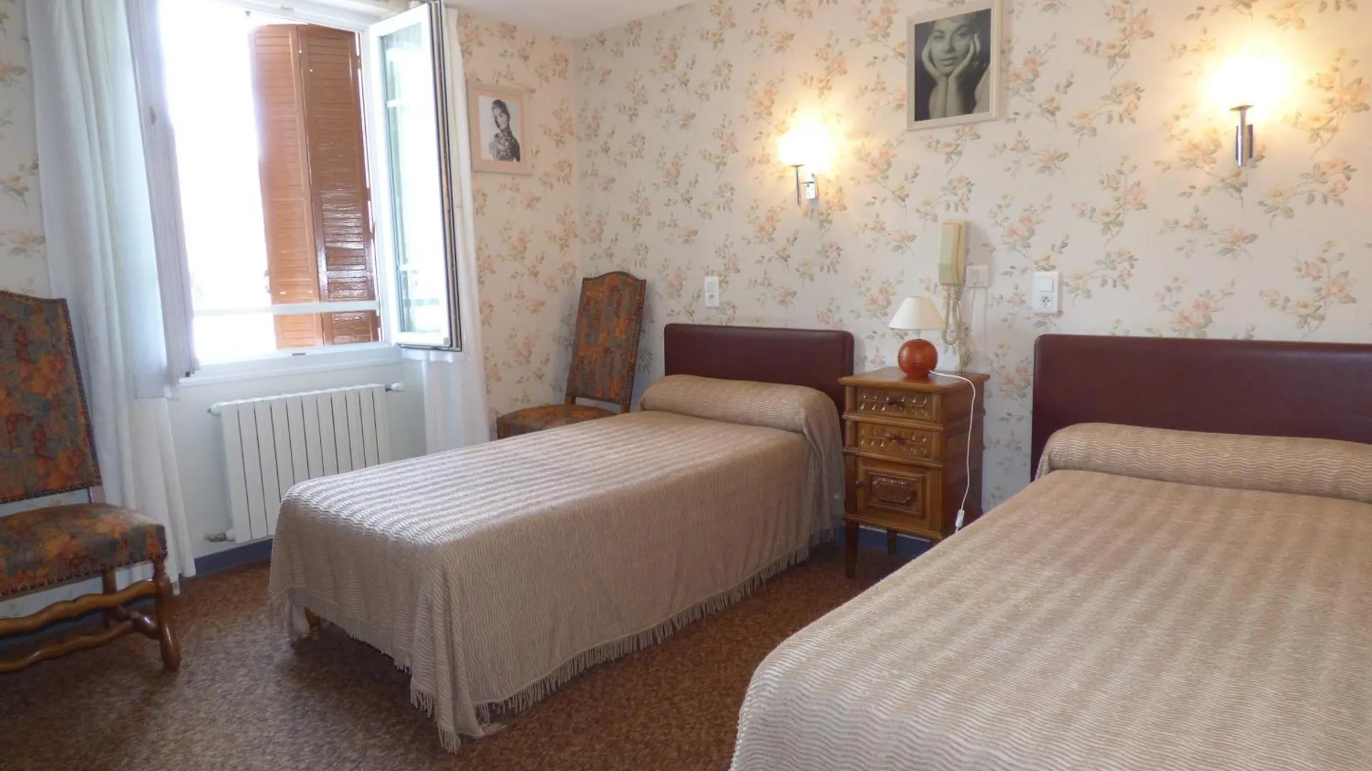 Entraygues-sur-Truyère Hotel Du Lion D'Or צרפת